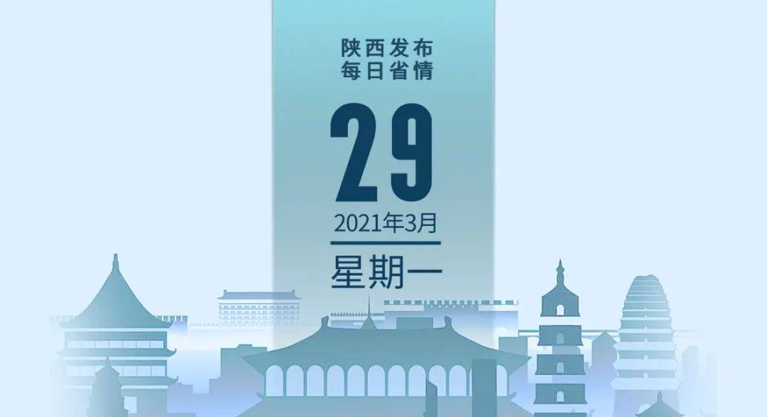 全民喜欢，聚焦2025新奥最新资料大全精选解析，落实策略与行动路径