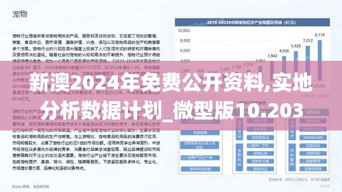 探索未来，2025年新澳全年资料深度解析与推荐