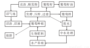 新澳2025最新资料大全，全面解析澳大利亚未来发展蓝图