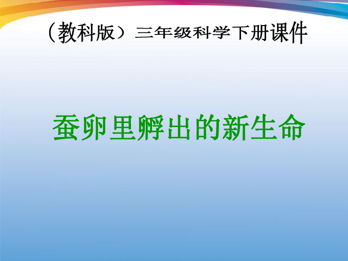 三中三必中一组澳门，聆听大自然的声音，感受生命的律动