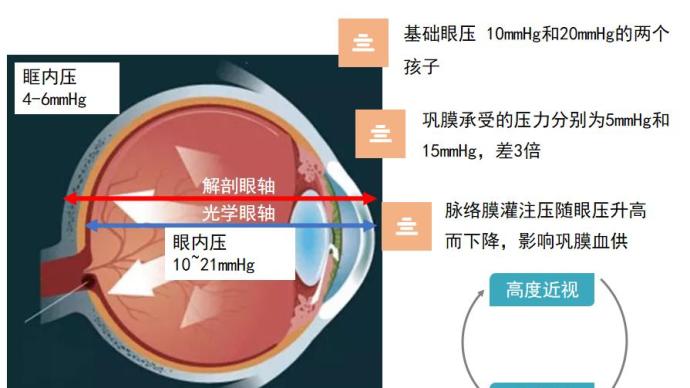 揭秘新奥未来之路，探寻内部资料背后的预测套路与策略洞察