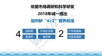 新奥2025料大全最新版本，超级精准度的赞叹之作—超级版4.66.854