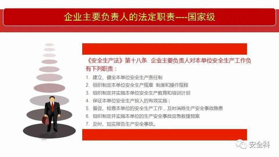 探索新澳门，全面免费政策的释义、解释与落实之路