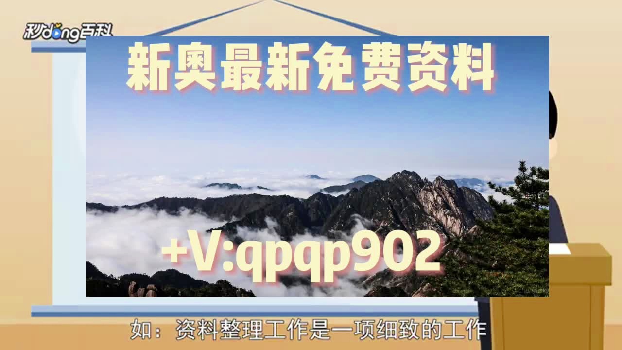 新奥2025最新资料大全，准确资料、全面数据与深入解释及有效落实