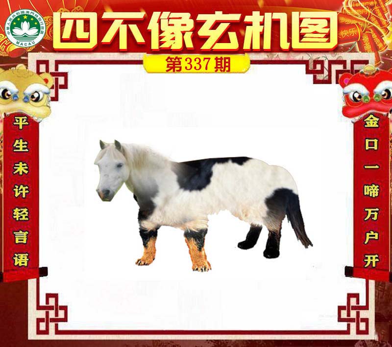 今晚买四不像必中一肖，专家解答与深度解析