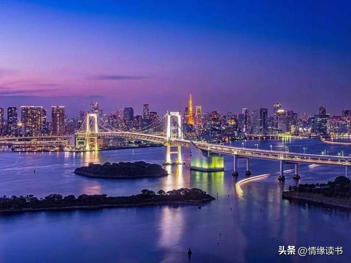 澳门在2025年实现全年免费政策的深度解读与展望