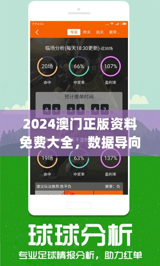新澳精准资料免费提供网站—揭秘背后的秘密与真相（回忆版）