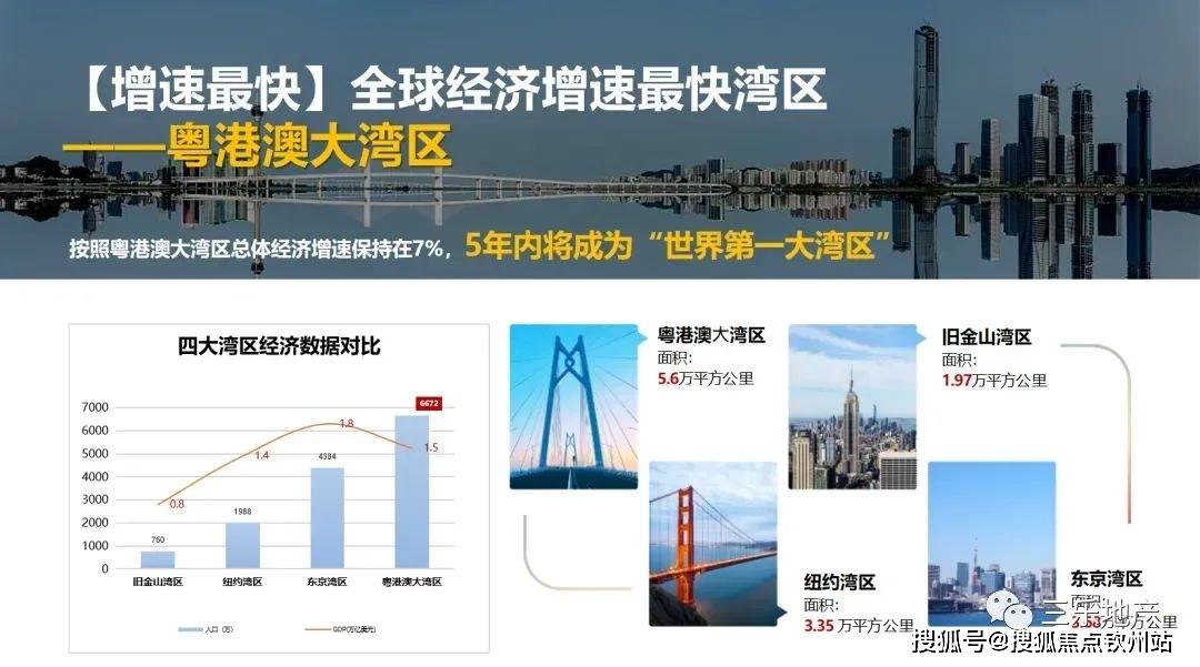 新澳2025最新资料大全第044期详细解析与探索，从数字洞察未来趋势