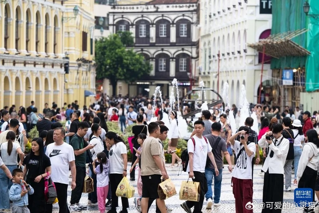 澳门旅游政策解析，澳门2025全年免费资料与词语释义解析