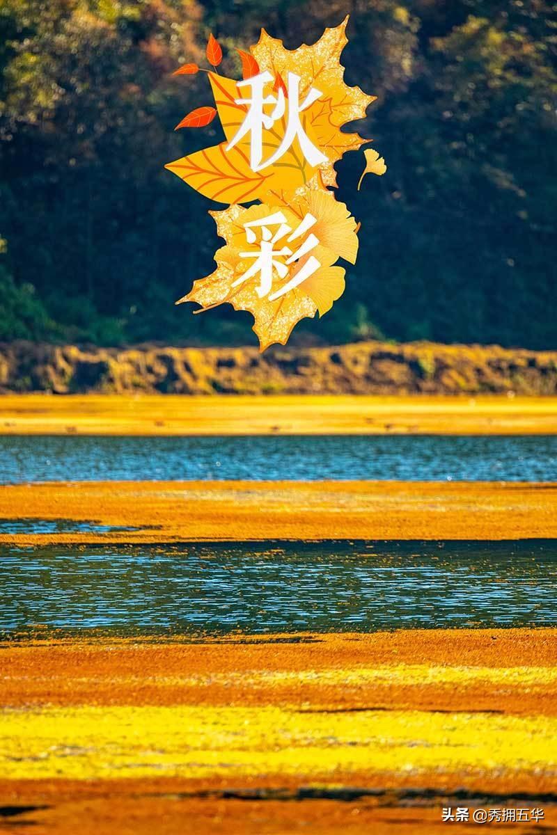 新闻 第18页
