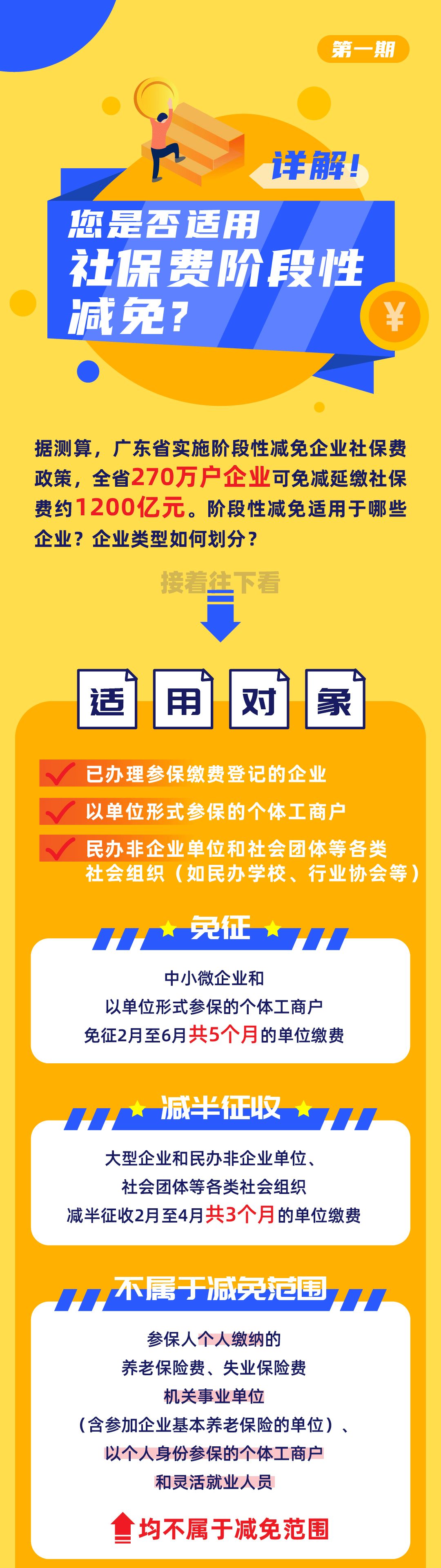 揭秘最准一码一肖，实用释义与现实解读