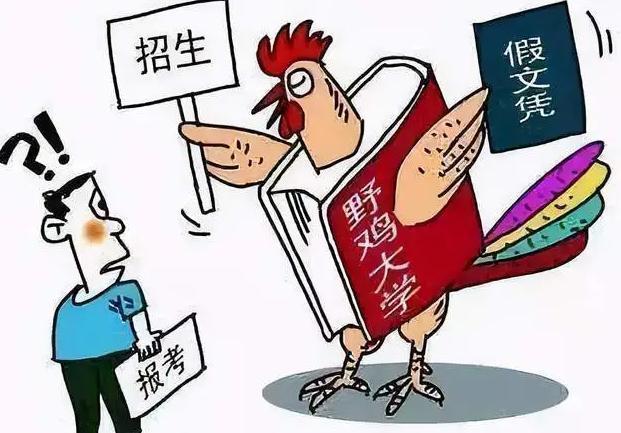 警惕虚假宣传，追求真实资料，关于2025天天彩正版免费资料的探讨与程序执行提升